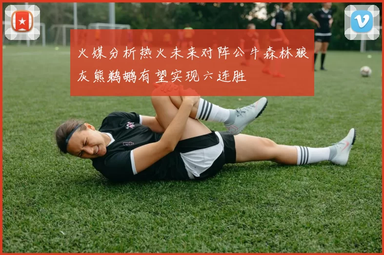 火媒分析热火未来对阵公牛森林狼灰熊鹈鹕有望实现六连胜